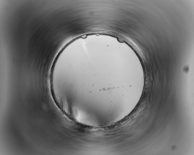 X0000103451291200810101119