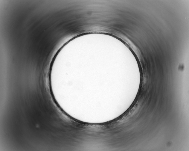 X0000103451293200810101119