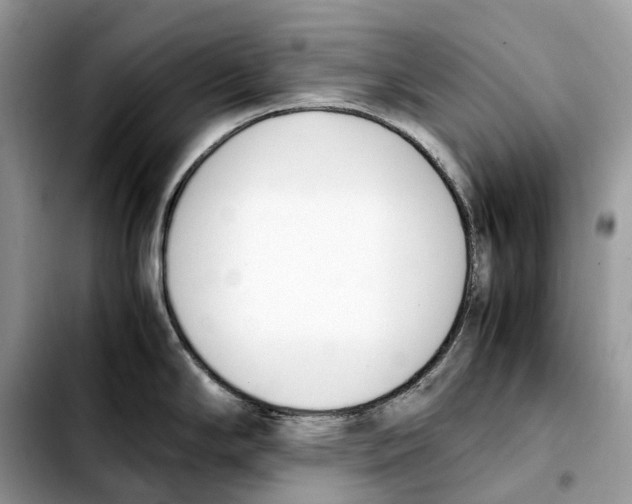 X0000103451294200810101119