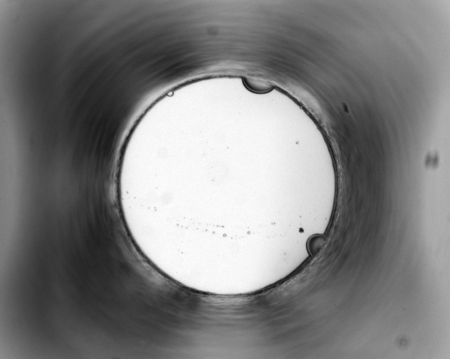 X0000103451296200810101119