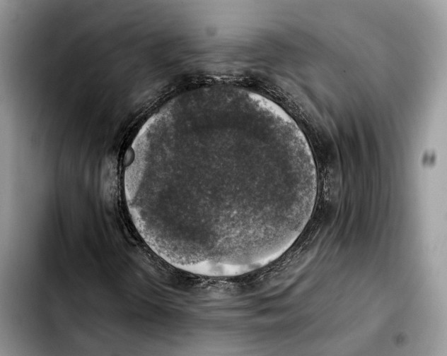 X0000103451298200810101118