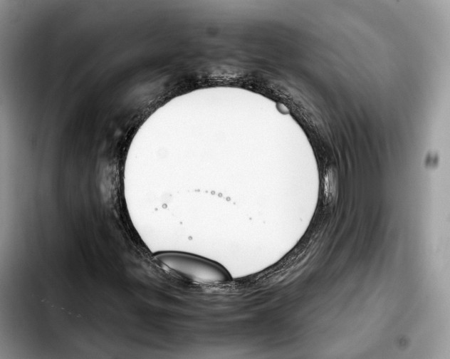 X0000103451299200810101118