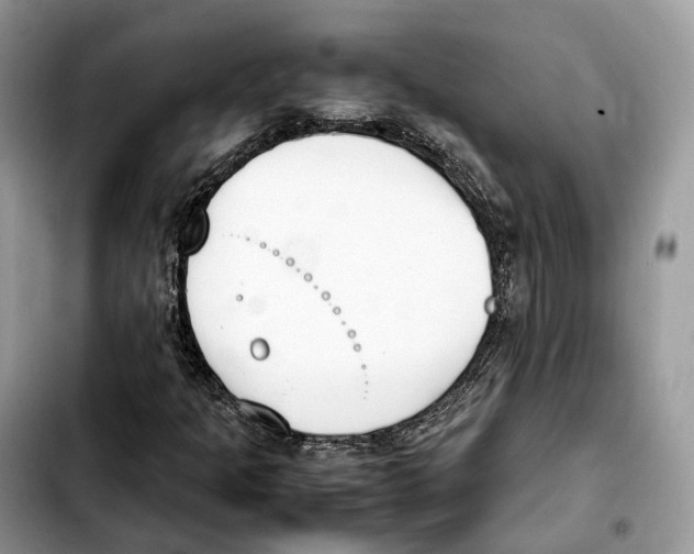 X0000103451301200810101118