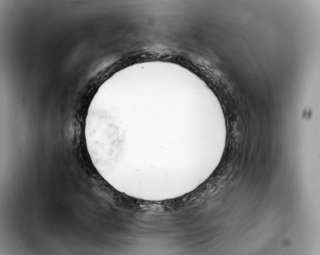 X0000103451302200810101118