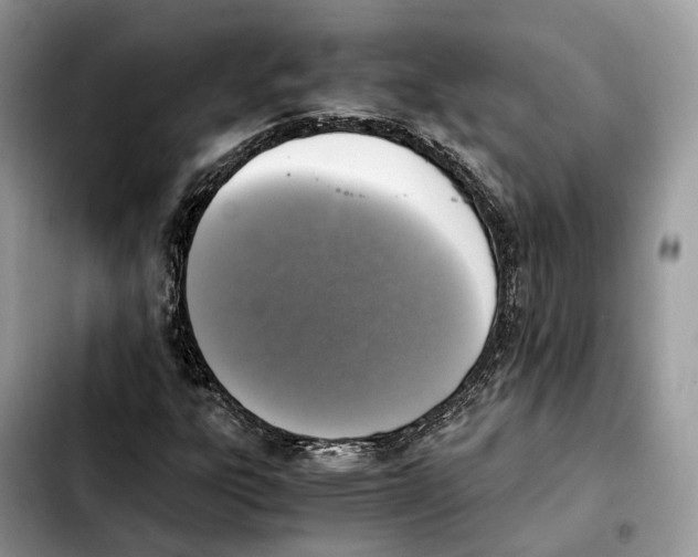 X0000103451303200810101118