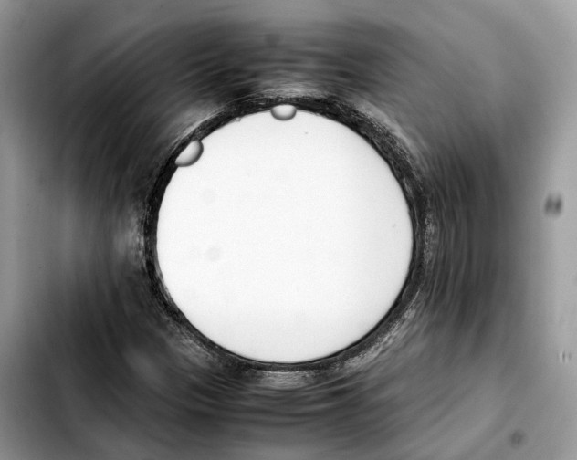 X0000103451305200810101118