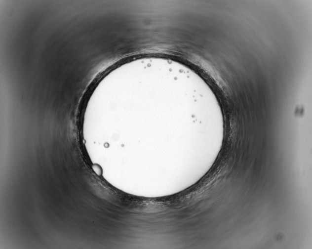 X0000103451308200810101118