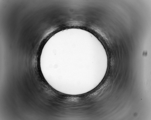 X0000103451309200810101118