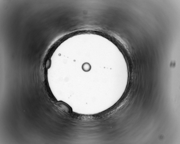 X0000103451310200810101118