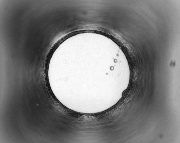 X0000103451312200810101118