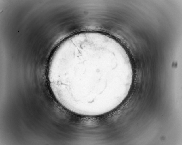 X0000103451314200810101118