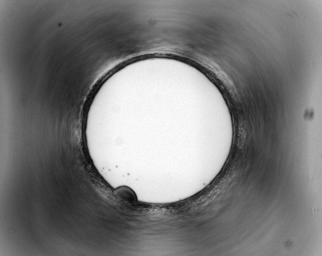 X0000103451316200810101118