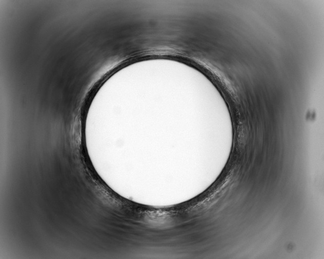 X0000103451317200810101118