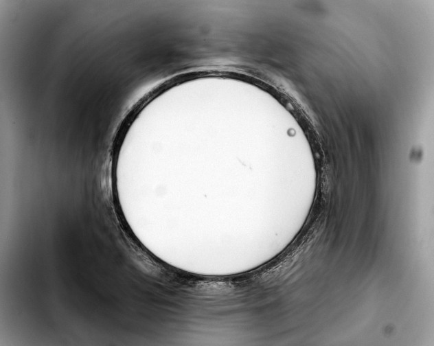 X0000103451320200810101118