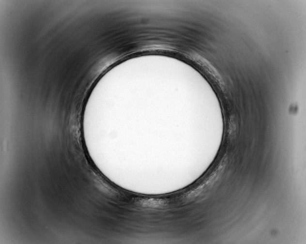 X0000103451321200810101118