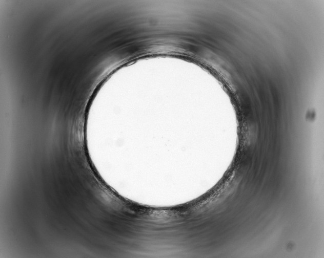 X0000103451322200810101118