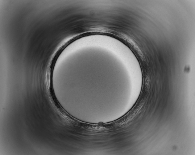 X0000103451323200810101118