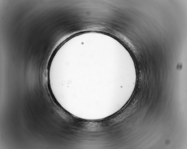 X0000103451324200810101119