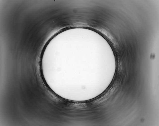 X0000103451325200810101119