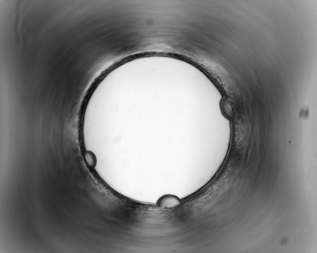 X0000103451326200810101119