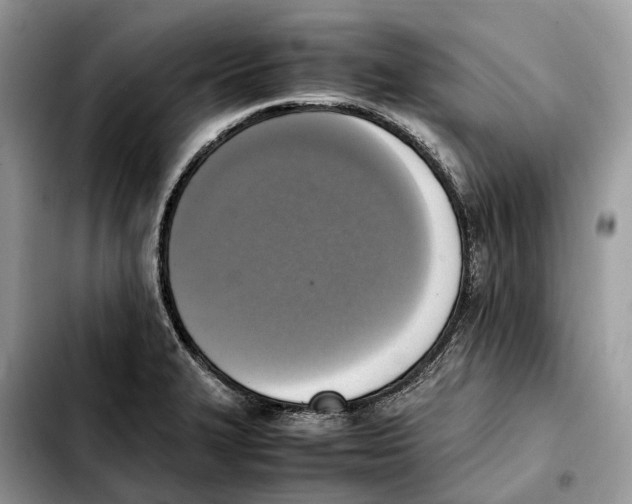 X0000103451327200810101119