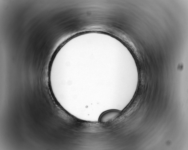 X0000103451328200810101119