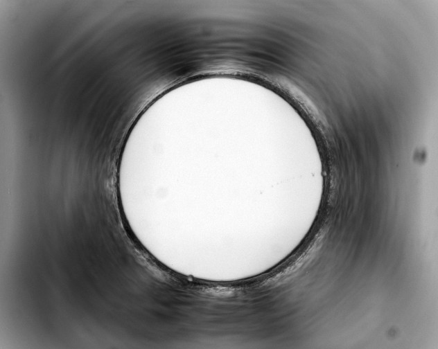 X0000103451329200810101119