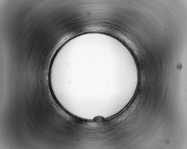 X0000103451330200810101119