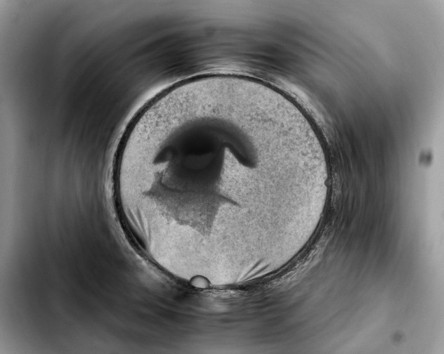 X0000103451331200810101119