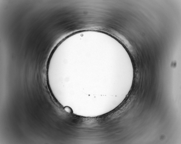 X0000103451332200810101119