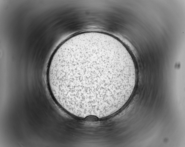 X0000103451333200810101119