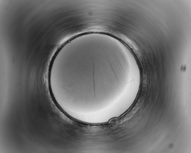 X0000103451334200810101119