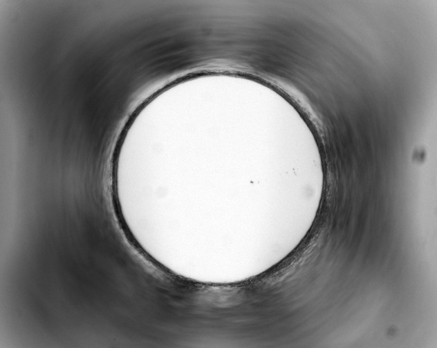 X0000103451335200810101119