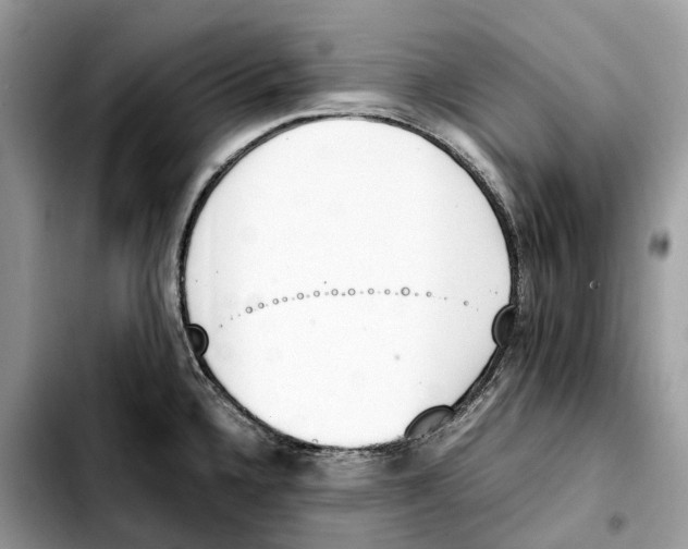 X0000103451336200810101119