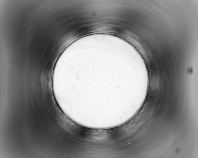 X0000103451338200810101119