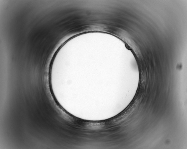 X0000103451339200810101119