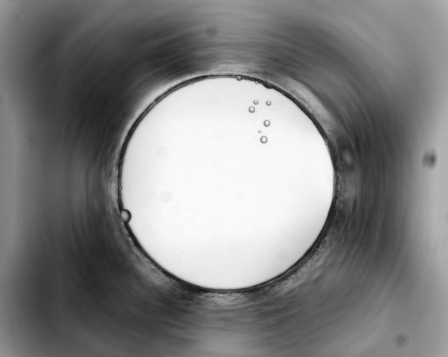 X0000103451340200810101119