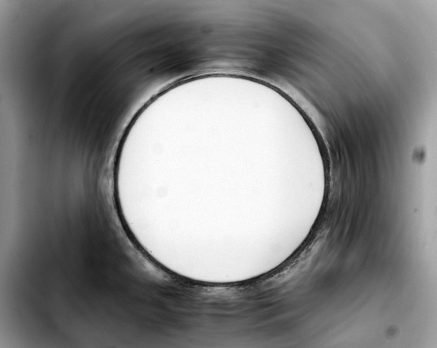 X0000103451341200810101119