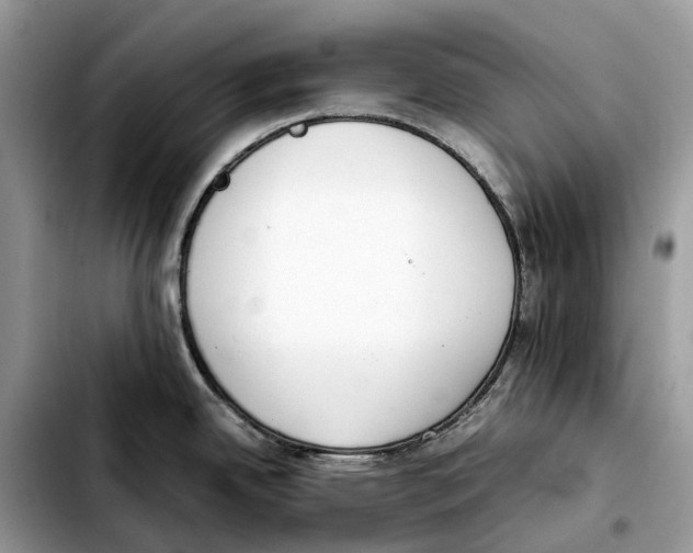 X0000103451342200810101119