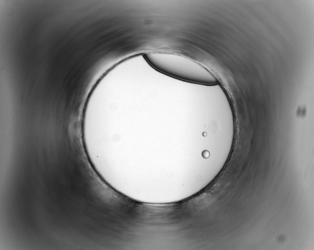 X0000103451344200810101119