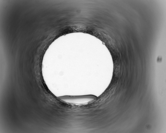 X0000103451345200810101118