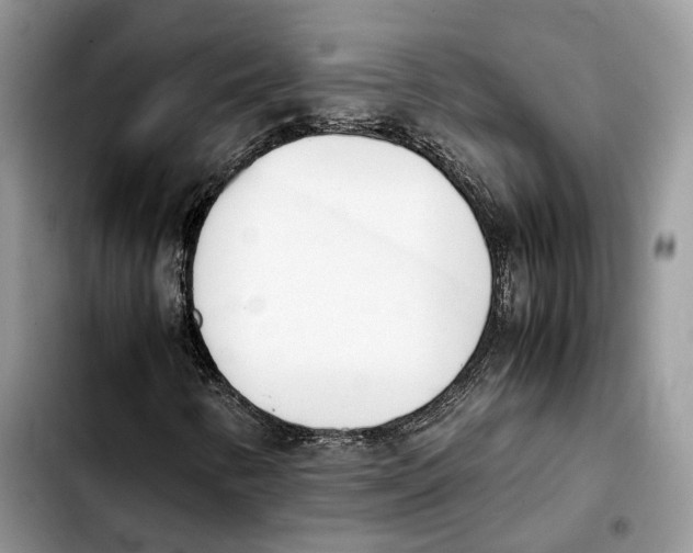 X0000103451346200810101118