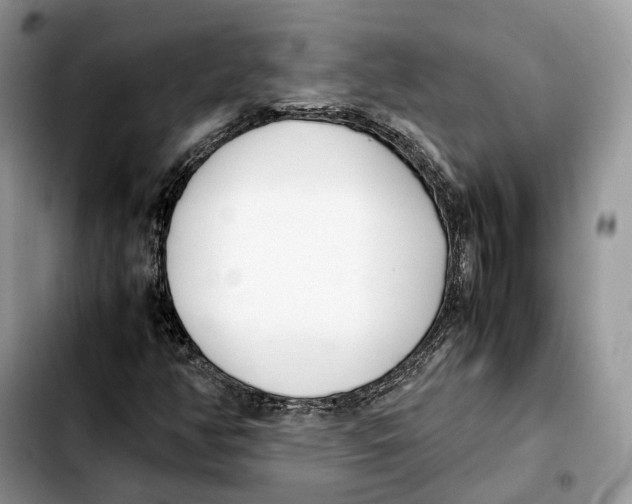 X0000103451350200810101118