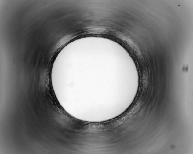 X0000103451354200810101118