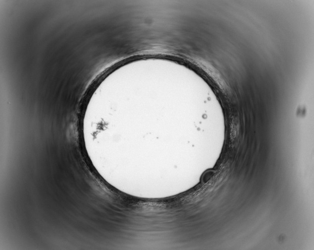 X0000103451356200810101118