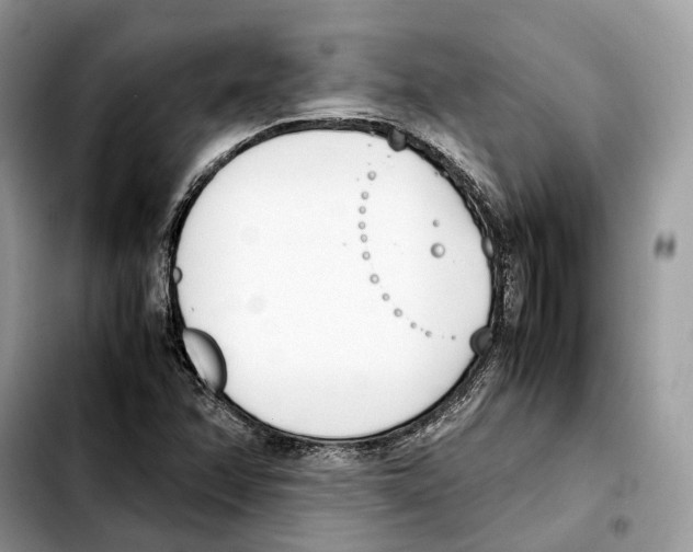 X0000103451358200810101118