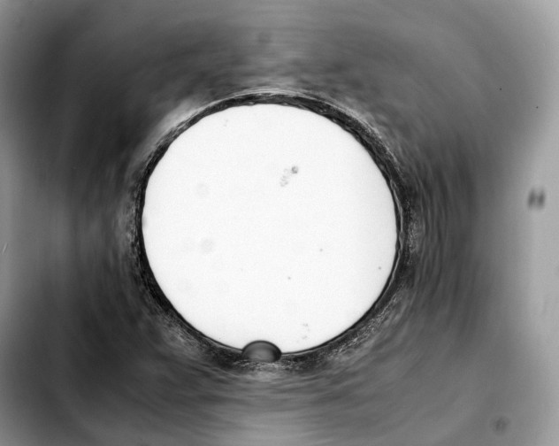 X0000103451359200810101118