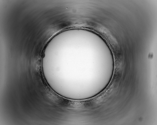 X0000103451361200810101118