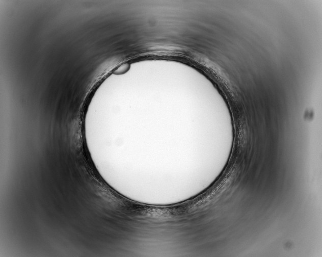 X0000103451362200810101118