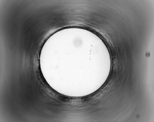 X0000103451363200810101118